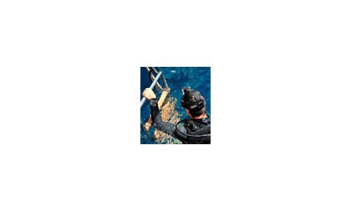 Jaeger-LeCoultre makes donation to Fernando de Noronha and Atol das Rocas Reserves