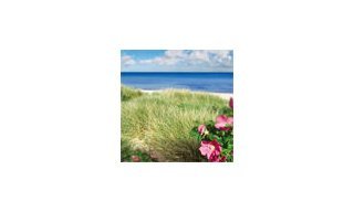 Skagen, a little known phenomenon