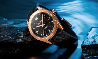 Introducing the Delma Cayman Bronze