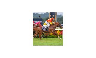 The Prestigious Longines Singapore Gold Cup 2013 Raises $374,483 for Charity
