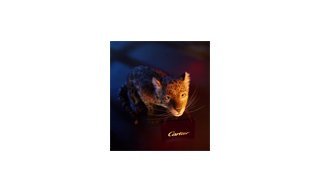Cartier's Winter Tale 2013