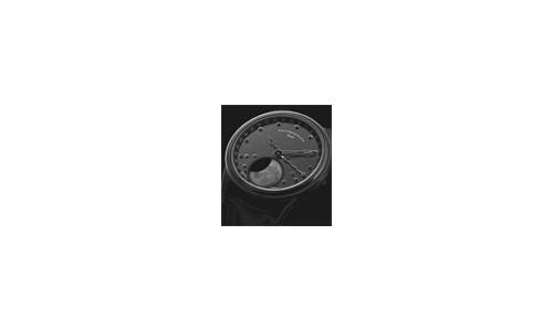 Schaumburg's Astronomical Moon Complication