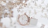 Frederique Constant Collections Ladies Automatic