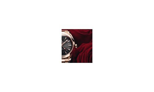 Valentine's Day Selection - Omega's Seamaster Aqua Terra GMT