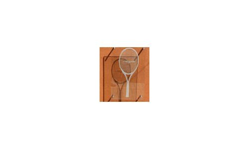 GrandeVitesse: A new sports model from Longines launched specially in France at the French Open in 2007