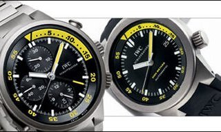 IWC takes to deep water
