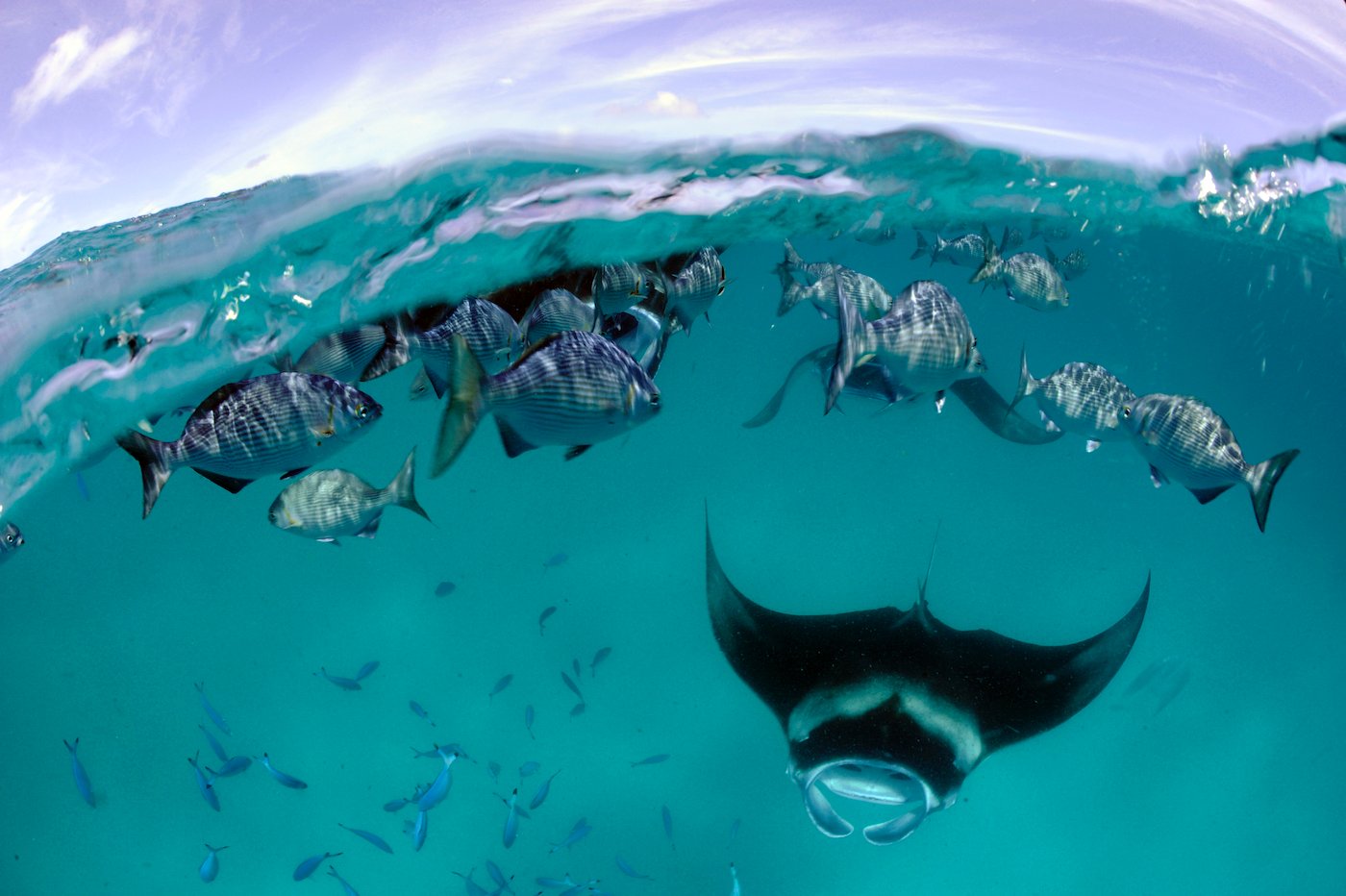 Carl F. Bucherer: introducing the Patravi ScubaTec Maldives