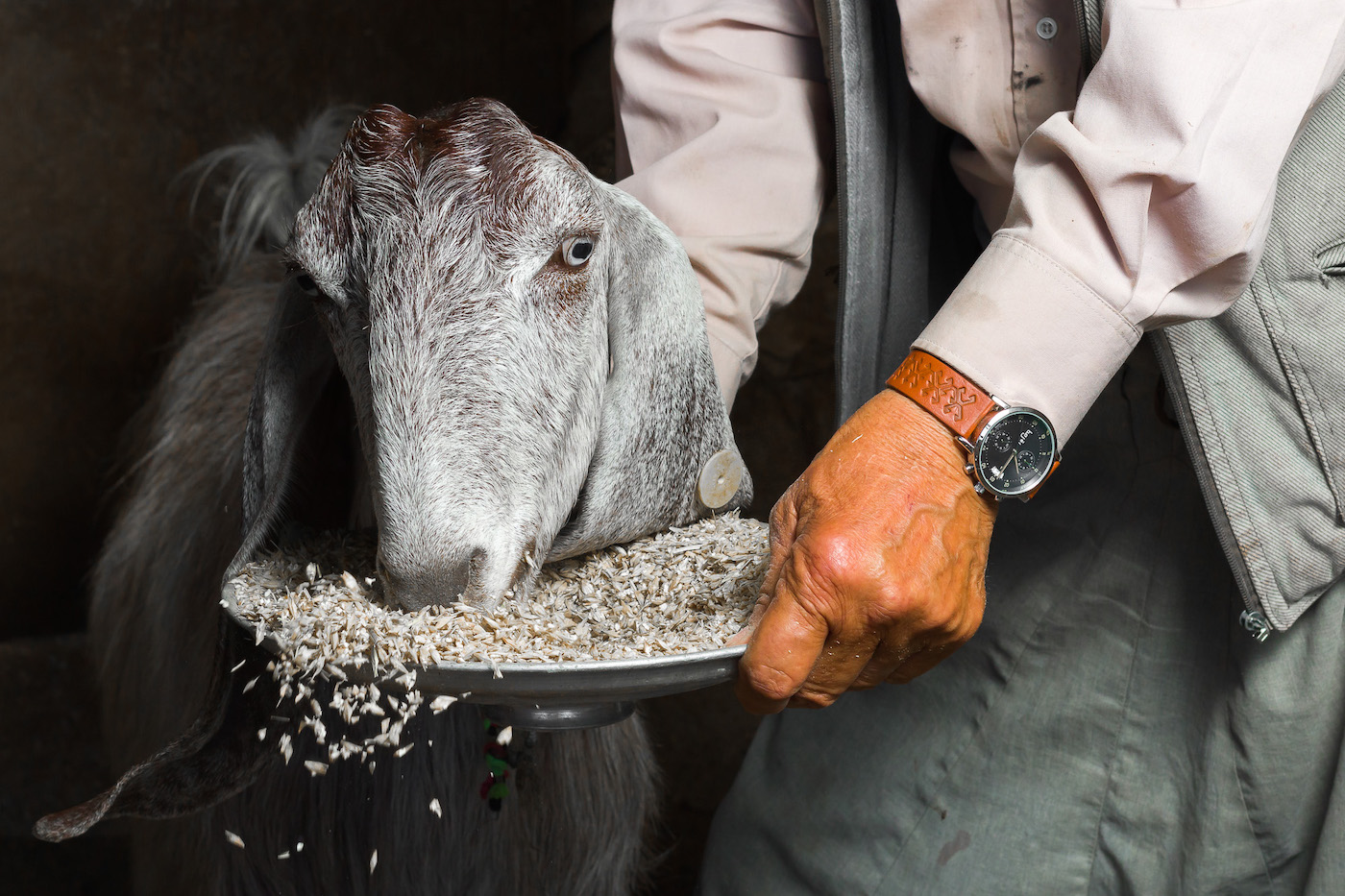 Bajer Watches, committed to Kurdish art and culture