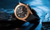 Delma Cayman Bronze: connect with nature 