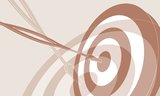 The exponential rise in niche markets 