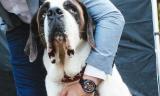 Bomberg's new dog-inspired watch