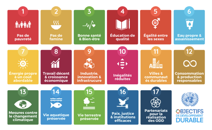 The United Nations Sustainable Development Goals (SDGs), which inspire the new model.
