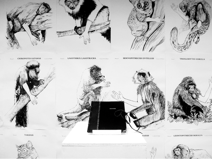 Exhibition of 44 illustrations created by artist Debora Martinez as part of her project entitled “Homines”, presented at the Faculty of Fine Arts of Málaga (2009).