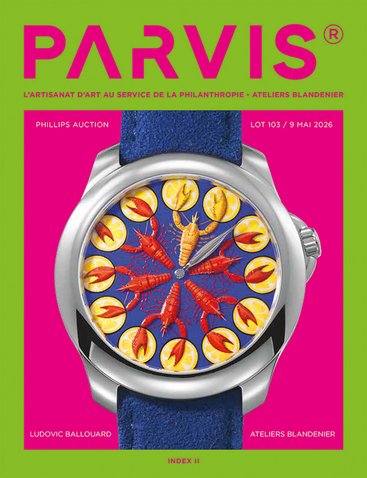 An essential component of the PARVIS project is its magazine, which highlights the many partners involved in this human adventure as well as the various stages of the project. Two volumes have already been published.
