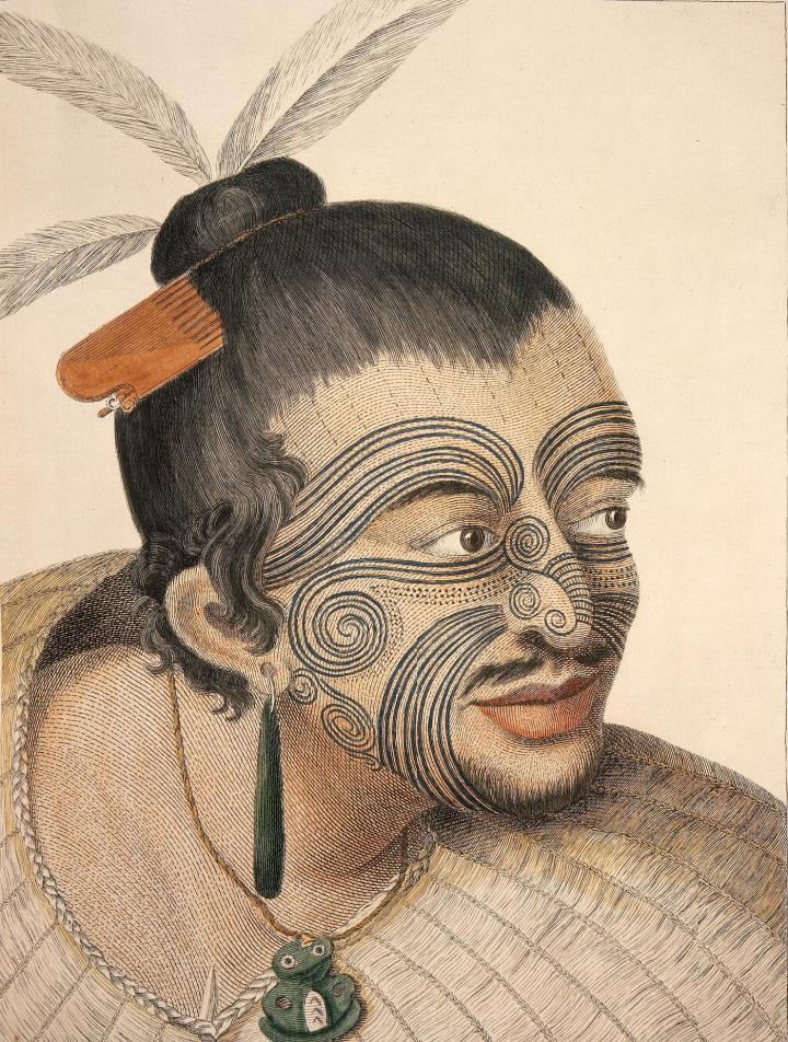 Drawing of a Maori chief, 1784, by Parkinson following Captain James Cook's first voyage to New Zealand